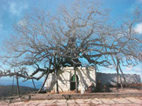 Silsila Abdel Salam ibn Bashish